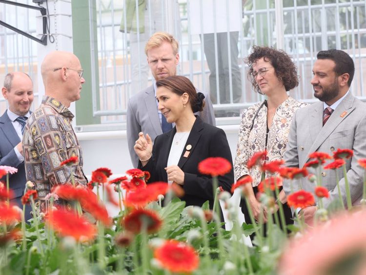 UAE delegation drives global food security agenda during visit to Netherlands
